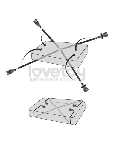 Restricciones para la Cama Rebellion Reign