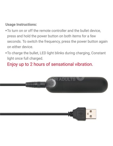 Braguitas con Bala Vibradora Printed Panties 24 27