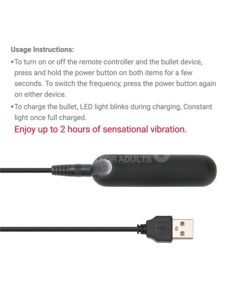 Braguitas con Bala Vibradora Printed Panties 24 27