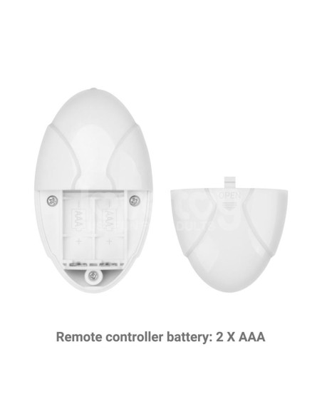 Braguitas con Bala Vibradora Printed Panties 24 27