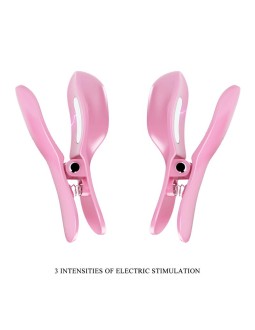 Surprise Box Huevo Vibrador y Pinzas para Pezones con Electro Estimulacion Rosa 2