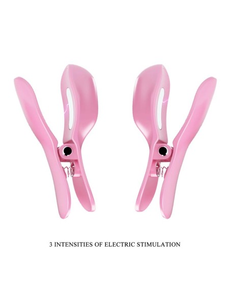 Surprise Box Huevo Vibrador y Pinzas para Pezones con Electro Estimulacion Rosa Surprise Box Huevo Vibrador y Pinzas para Pezones con Electro Estimulacion Rosa