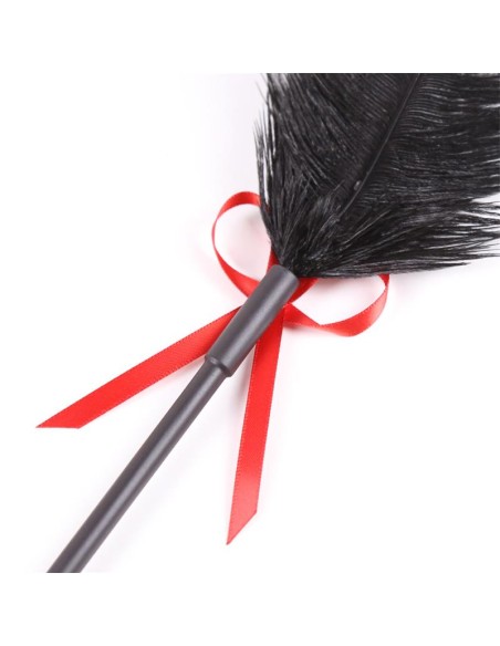 Plumas y Pala 2 en 1 36 cm Negro Rojo