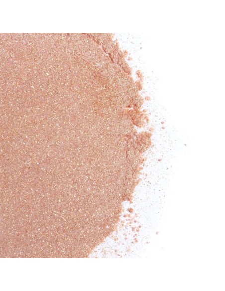 Kit Polvos 100 Comestibles y Plumero Fresas con Cava Kit Polvos 100 Comestibles y Plumero Fresas con Cava