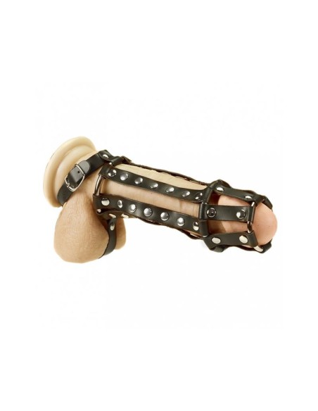 Arnes Completo para Pene y Testiculos
