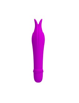 Estimulador Edward Purpura 2