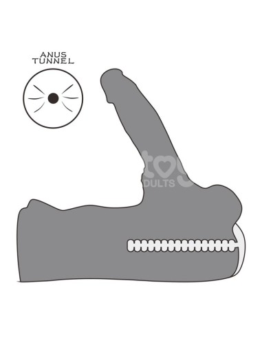 Streetgirls 15 Masturbador con Dildo Articulable