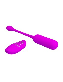 Lechies Huevo Vibrador con Control Remoto USB 2