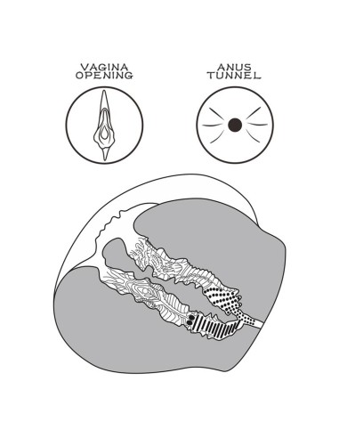 Masturbador Streetgirls 12