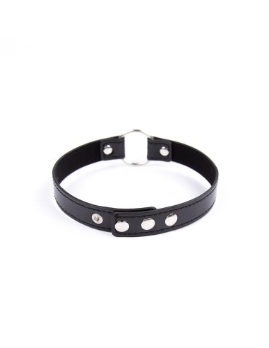 Collar con Aro Ajustable 382 cm Negro
