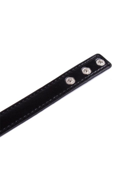 Collar con Aro Ajustable 382 cm Negro Collar con Aro Ajustable 382 cm Negro