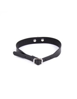 Collar Ajustable 43 cm Negro 2