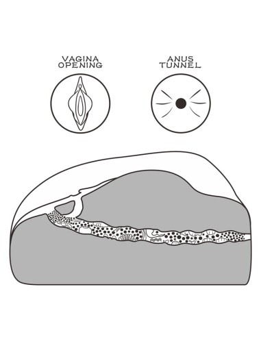 Masturbador Streetgirls 1