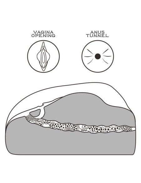 Masturbador Streetgirls 1