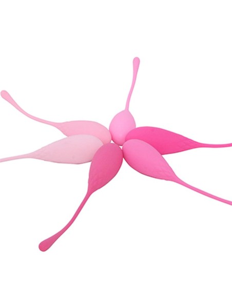 Adalet Kit 6 Bolas Kegel Silicona