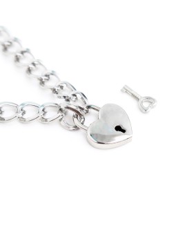 Collar con Candado Metal Talla M 44 cm 2