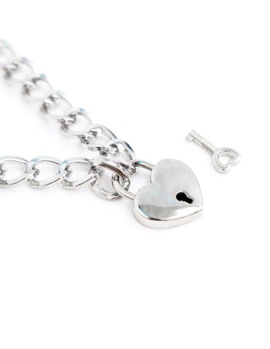 Collar con Candado Metal Talla M 44 cm