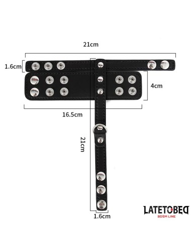 Jaula Pene Talla unica