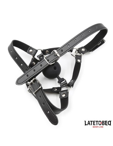 Arnes Cabeza con Mordaza y Gancho Nariz