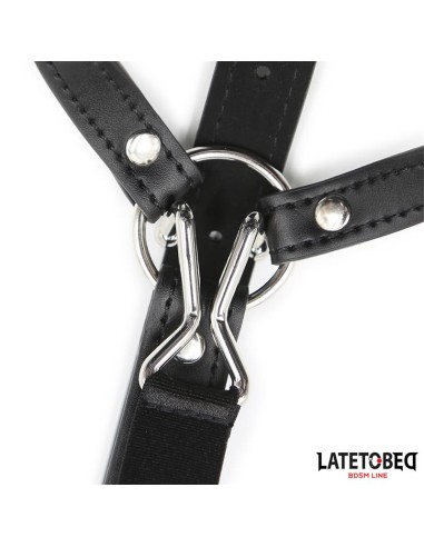 Arnes Cabeza con Mordaza y Gancho Nariz