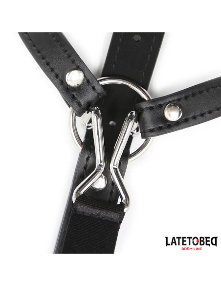 Arnes Cabeza con Mordaza y Gancho Nariz