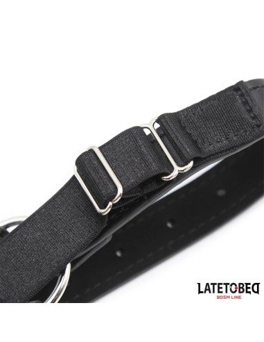 Arnes Cabeza con Mordaza y Gancho Nariz