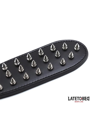 Pala con Pinchos 30cm