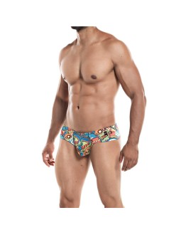 Cheeky Brief Provocative Cartoon