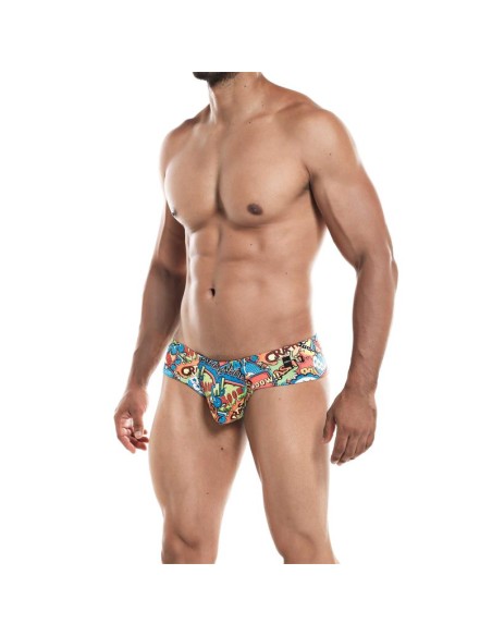 Cheeky Brief Provocative Cartoon