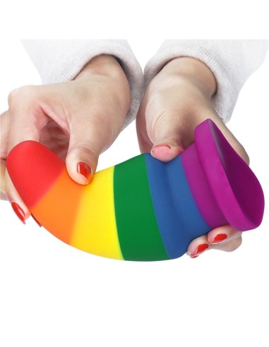 Plug Anal Prider 6 LGBT
