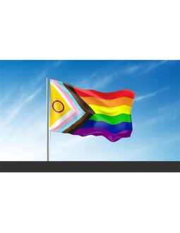 Bandera Intersexsual 90x150cm 2