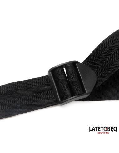 Restricciones para la Puerta