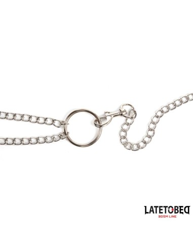 Pinzas para Pezones y Anillo para el Pene