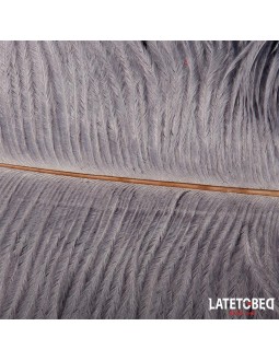 Pluma Estimuladora 44 cm 2