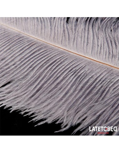 Pluma Estimuladora 44 cm