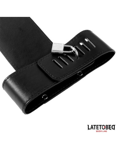 Arnes para la Espalda Ajustable