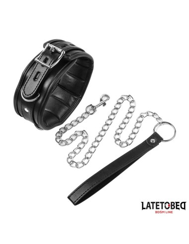 Collar con Correa Acolchado