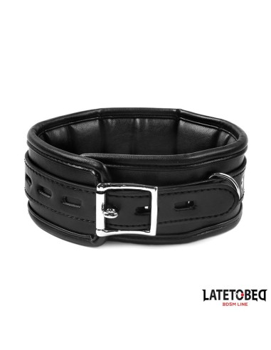 Collar con Correa Acolchado