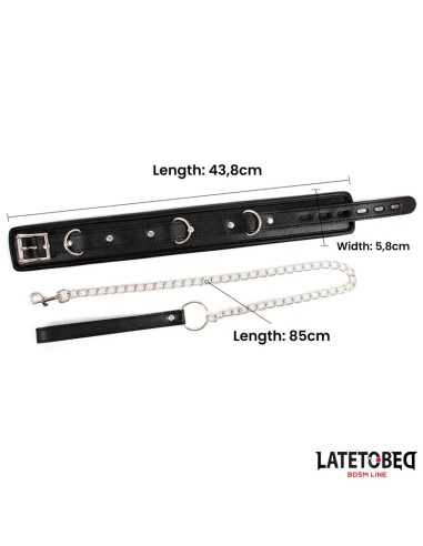 Collar con Correa Acolchado