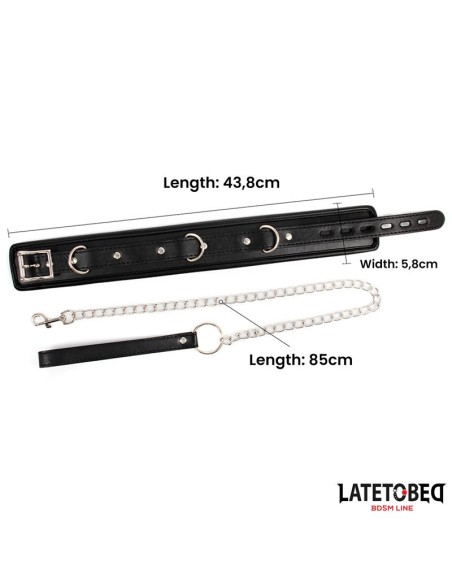 Collar con Correa Acolchado