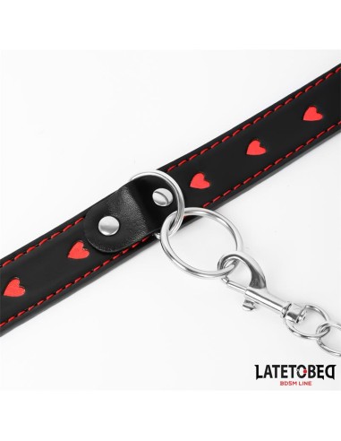 Collar con Correa 52 cm