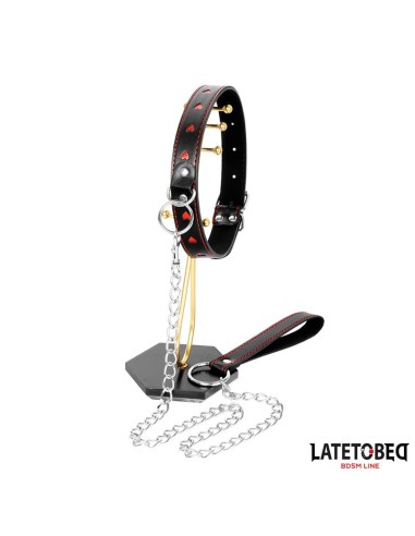 Collar con Correa 52 cm