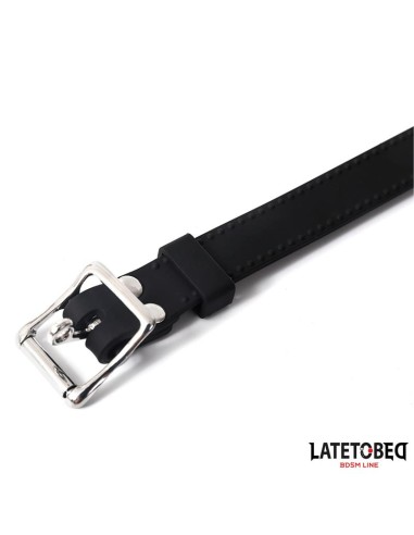 Mordaza de Aro con Pinzas para Pezones