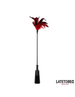 Pala con Plumas 2 en 1