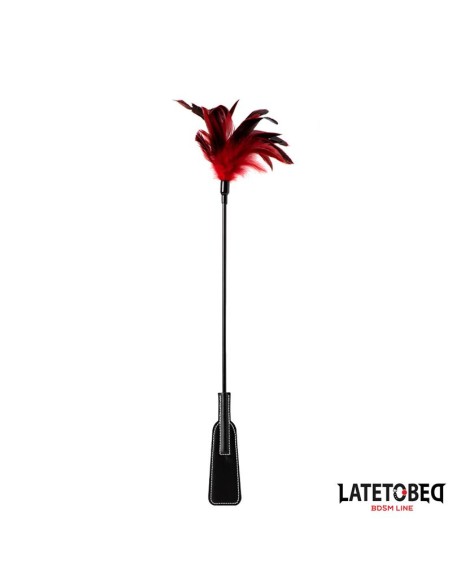 Pala con Plumas 2 en 1