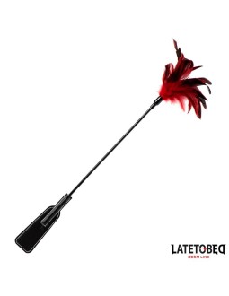 Pala con Plumas 2 en 1 2