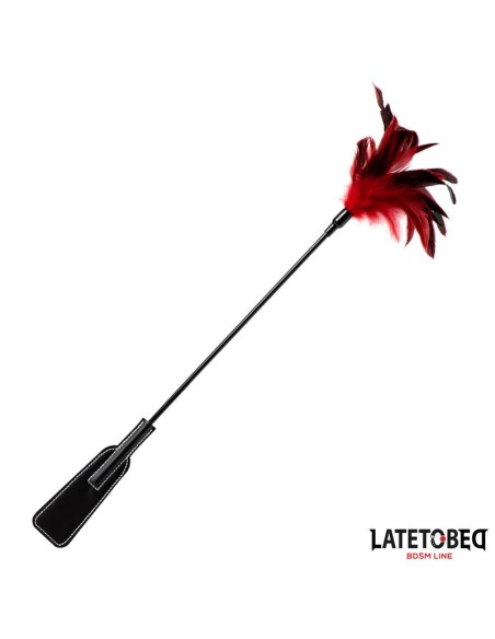 Pala con Plumas 2 en 1