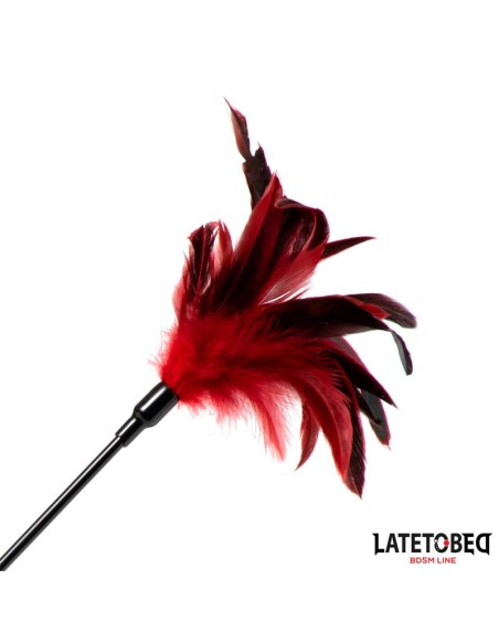 Pala con Plumas 2 en 1