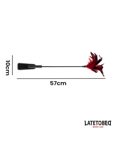 Pala con Plumas 2 en 1