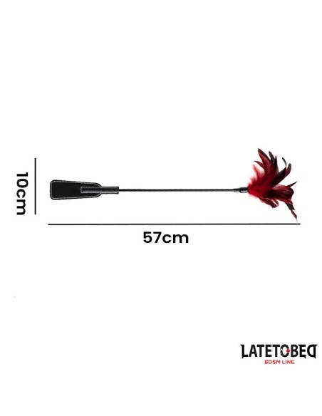 Pala con Plumas 2 en 1